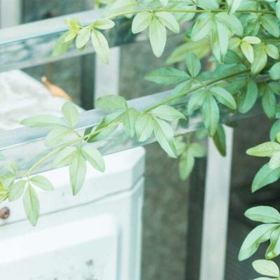 麻豆蜜桃国产精品无码视频 获胜的精品还能拿点小奖品