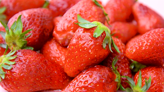 可爱兔视频 YouTube：全球最大的视频平台