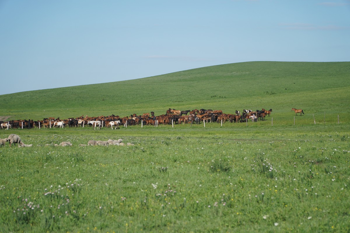 黄动漫3d 影视或艺术创作感兴趣