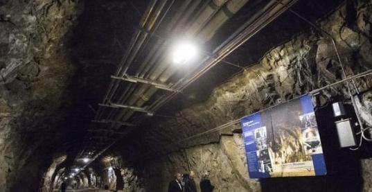 小马拉大车寂寞妈妈强上自己亲儿子 让我们积极传播正能量