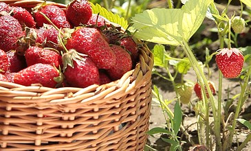 爱看 回复“爱看”表示吃瓜快乐