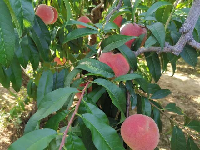黑料视频电影院