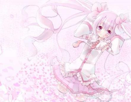 困困狗的日常 🏡 白天篇10:00 - 陪主人工作