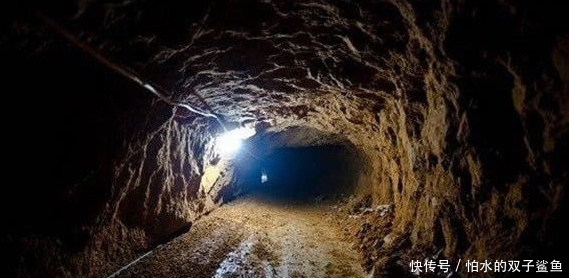 更多推荐. 换一换. 小马拉大车视频.