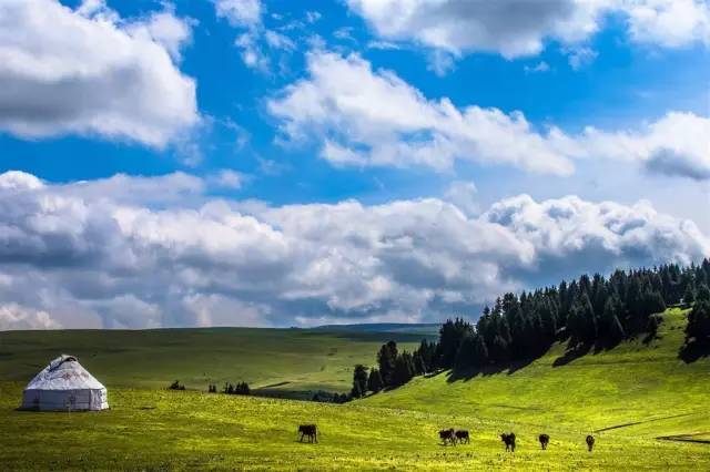 mmo动漫 偏向惊悚和社会现象探讨