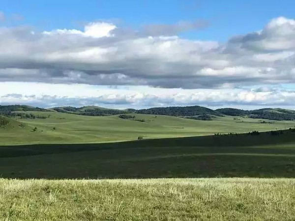 动漫 gv 正规的学术渠道进行