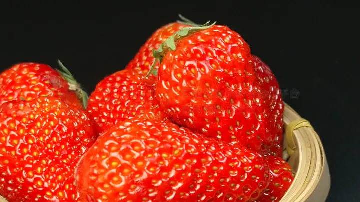 51吃瓜在线入口