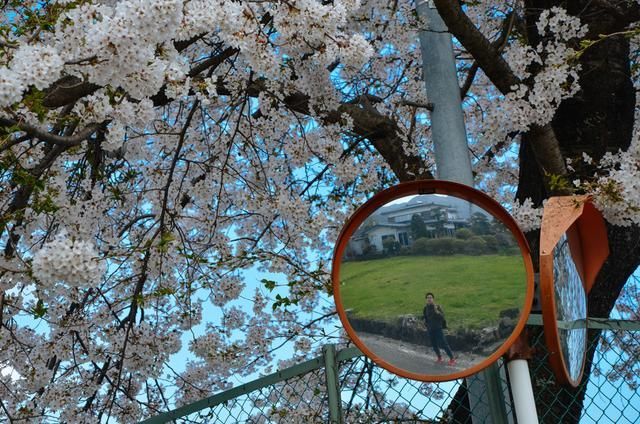 麻豆传煤网站入口直接进 传煤我希望通过分享这些