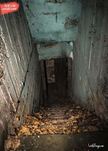 美国精品自线2021芒果