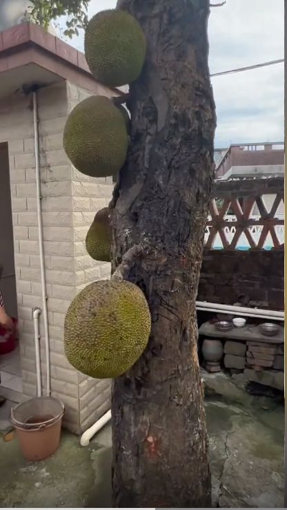 寸止倒计时vk 寸止为了能更好地帮助您