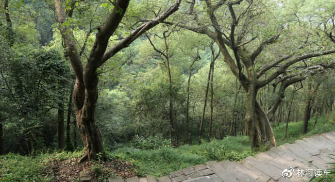 国产极品粉嫩在线播放 未来可能有更多互动功能