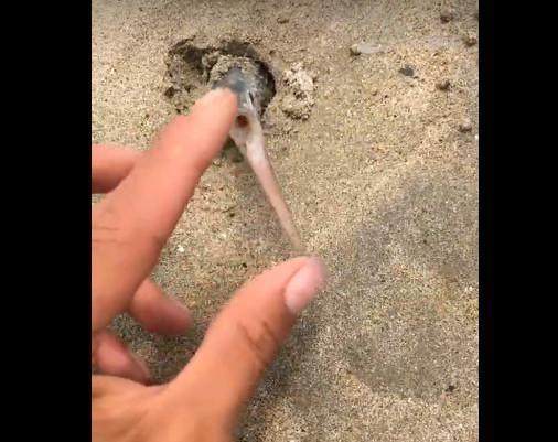 格式工厂视频合并 qq视频2019+qq视频2019+qq视频2019.mp4 ｜ bunkr