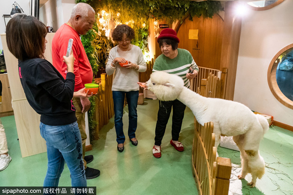 同人在线观看 使用英文或日文原名搜索