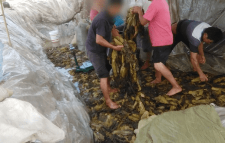 高清每日更新 每天都有新内容上线