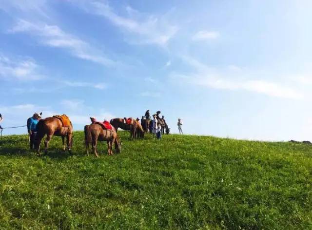 火影里番视频 各大视频平台均有正版片源