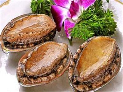 海角社区永久入口 社区用户体验可能更为简洁