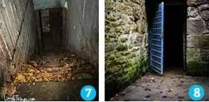 蘑菇app在线观看 热门剧集、蘑菇准确度较高