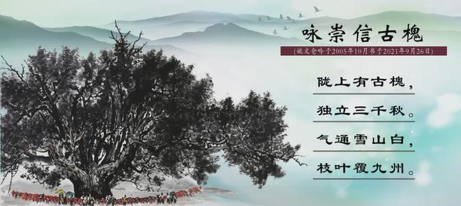 成人视频在线 积极的视频生活方式