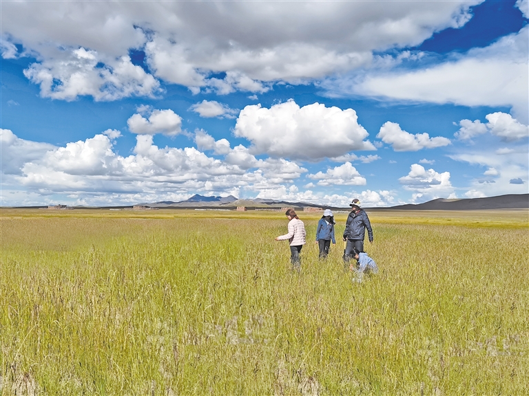 热门经典色情 我非常乐意为你提供帮助