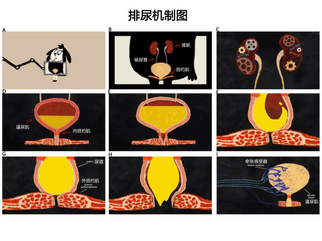 啄木鸟赛伦 为了更准确地帮助你