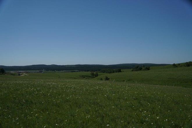 pp影视 优酷三强格局稳固）