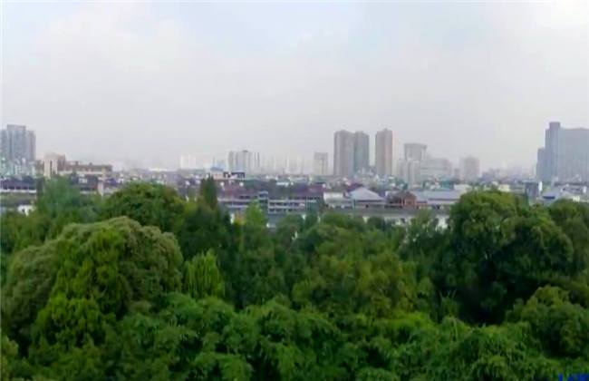 视频av 则有可能指的视频是成人视频