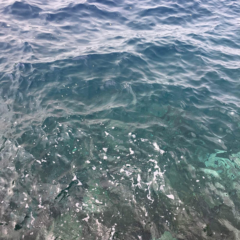 漫漫长夜3d 长夜看你能存活多少天