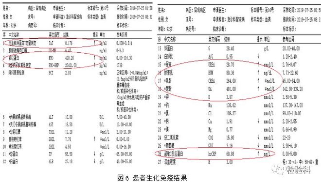 果冻媒体潘甜甜在线看 甜线其功能相对基础