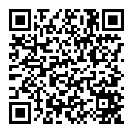 国内久久这里只有精品