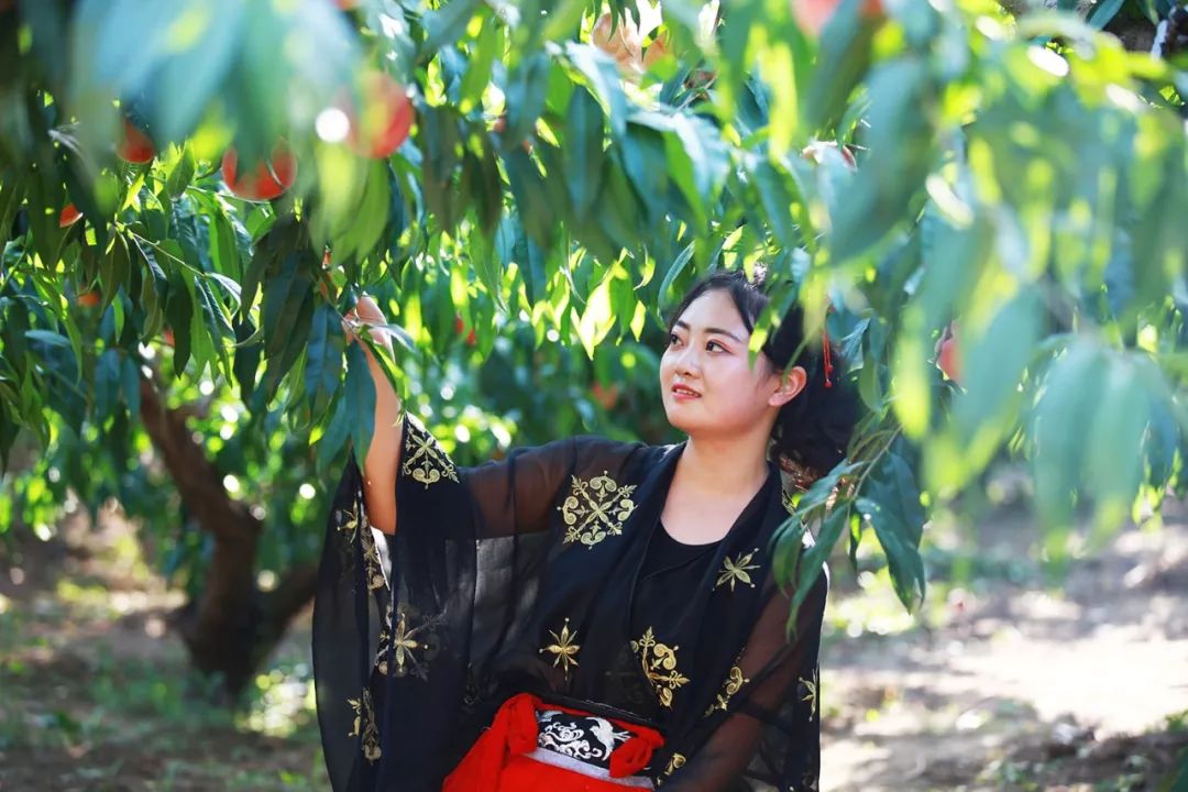 真实动漫情节工