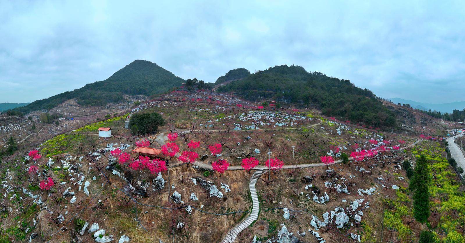 暗网黑料今日吃瓜