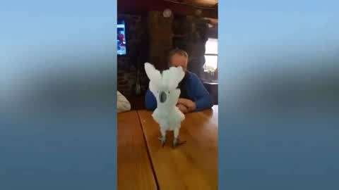 男男动漫网站入口