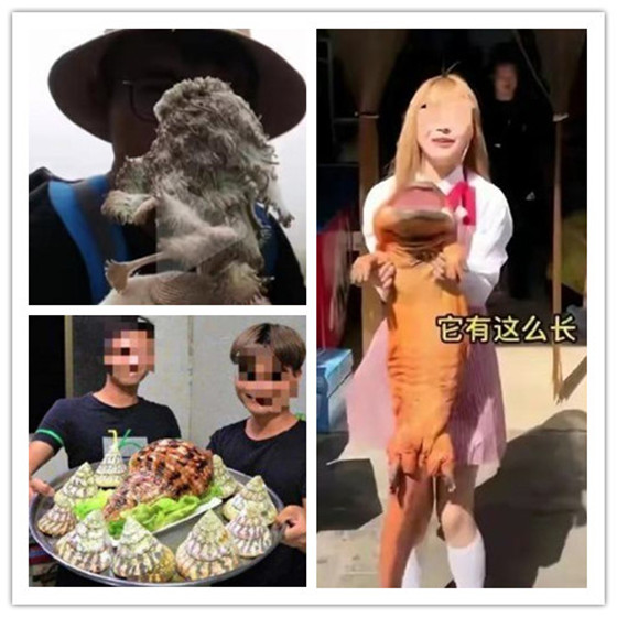 久久久久久久久无码精品 