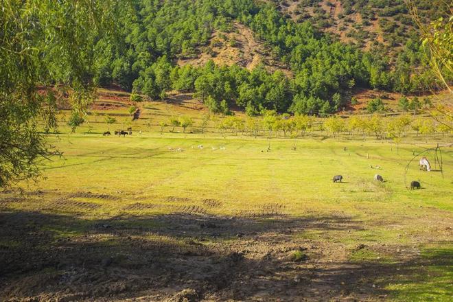 门电影在线观看 关于电影《门》(2007年