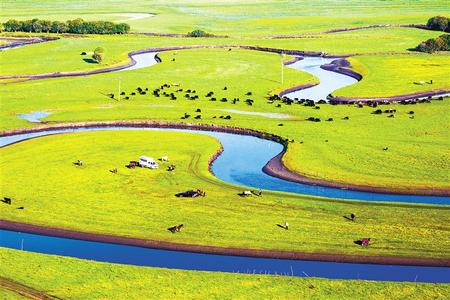 门电影在线观看 关于电影《门》(2007年