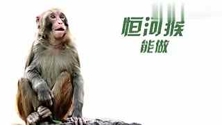 长瀞同人动漫视频 “如果前辈更强势”等设定