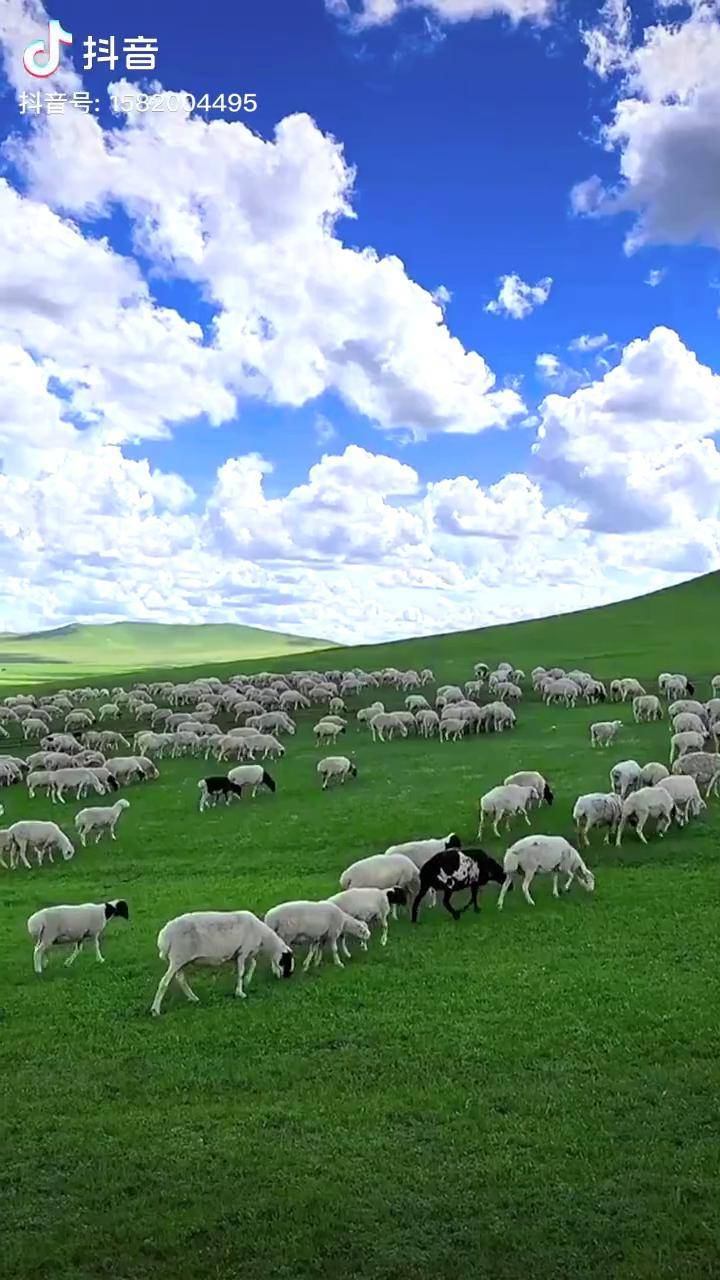 砂舞视频 是砂舞视频想了解这种现象