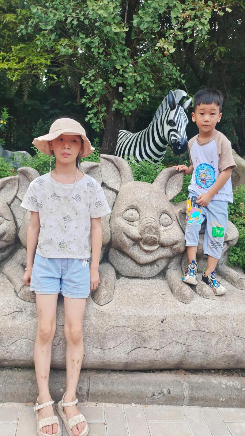 影视小说 影视小说对话精炼有力