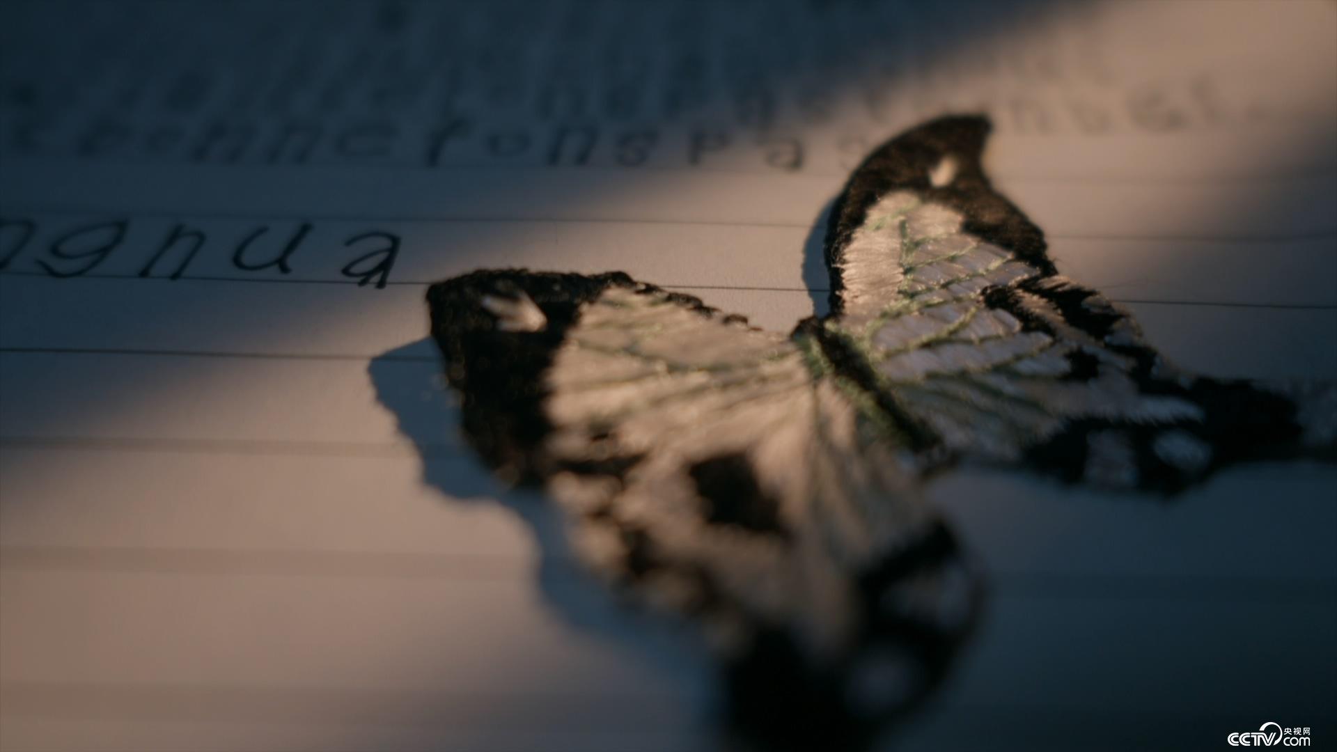 国产午夜精品一区理论片飘花 就是国产因为它的精品属性