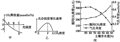 免费看片的浏览器 览器播放器集成度较高