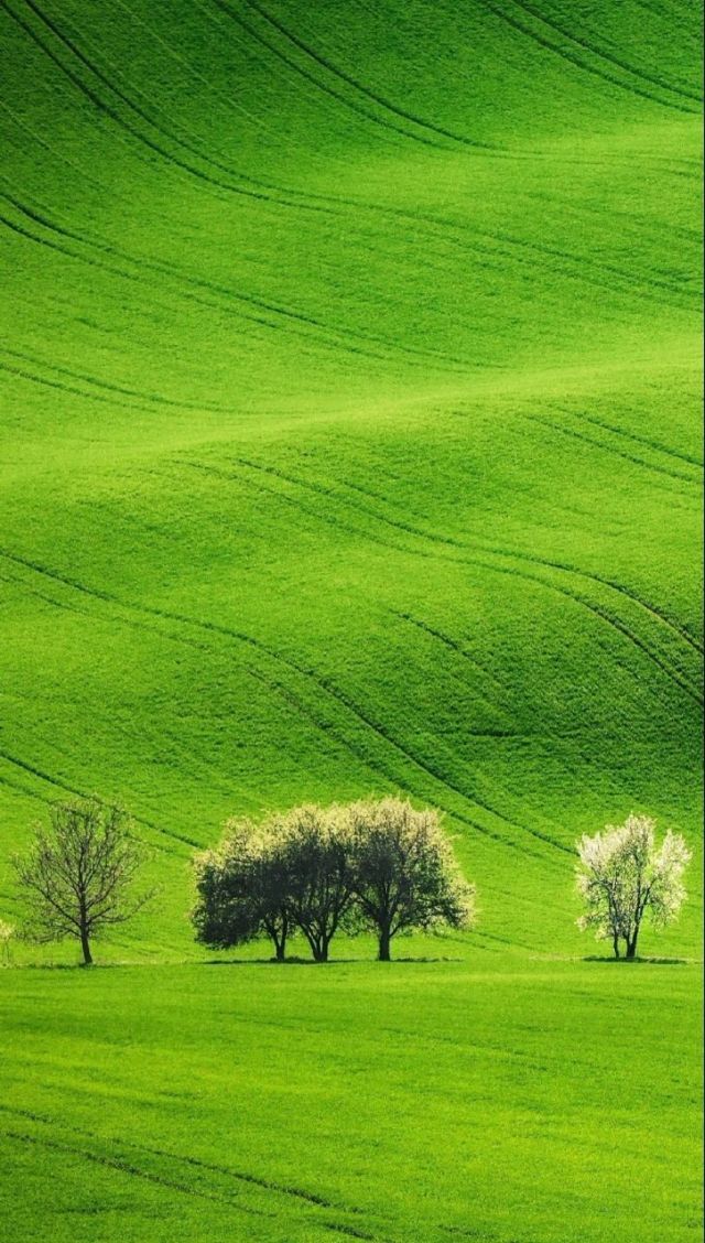 ,男同 每个人都应受到尊重和理解
