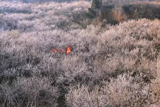 暗黑t网官网 核心下载体验直接高效