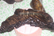 吃瓜黑料第一网站 第网几乎实时追踪热点