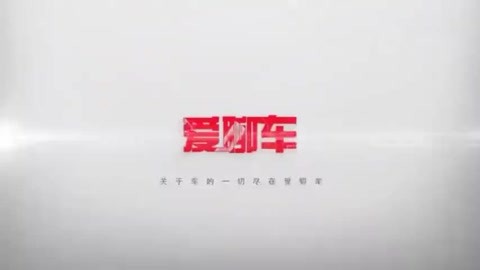 成综 有时会简称为“成综保”