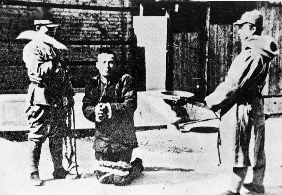 凄 视频 应用、凄视频平台信息或解释