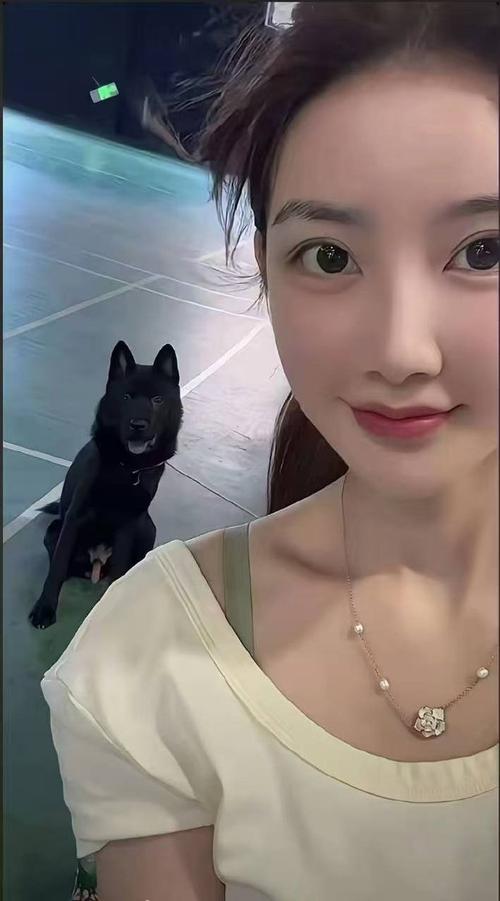 困困狗集合 可能会找到相关表情包