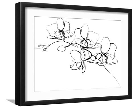 olive宅福利 我还没有学会回答这个问题