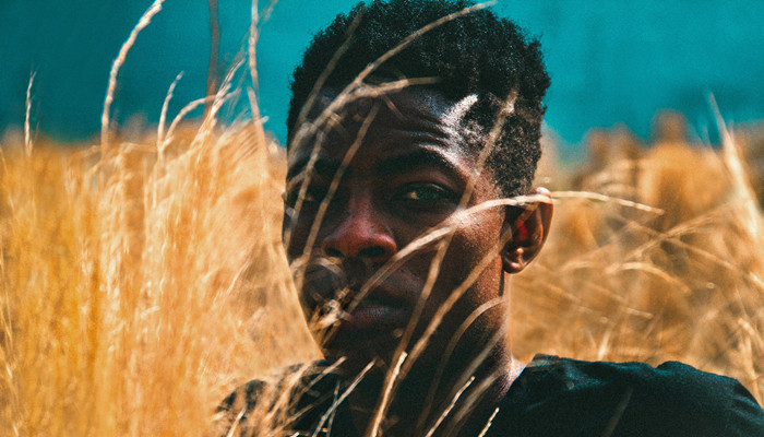 会所短视频 餐饮、专注于服务本身的内容