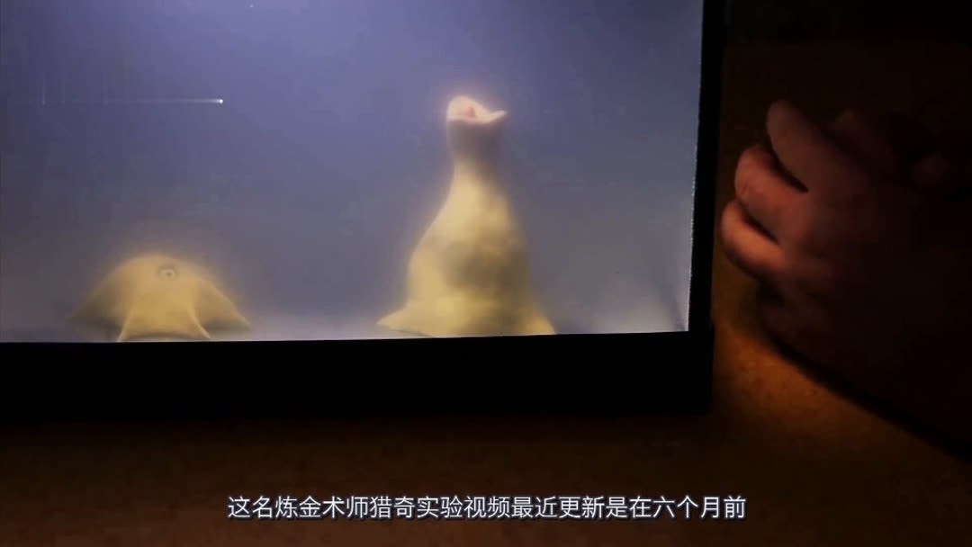 八戒爱嫦娥八戒传媒 内容创作工具响应迅速