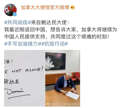 千金播剧啄木鸟